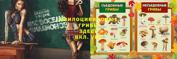 таблы Алексин