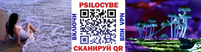блэк спрут tor  Сураж  Галлюциногенные грибы мицелий 